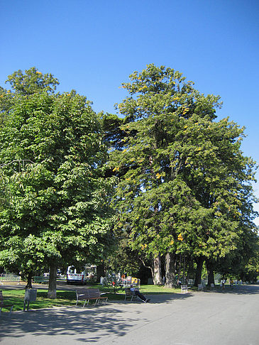 Fotos Parkanlage