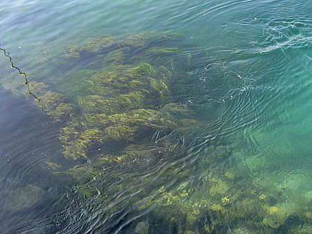 Genfer See