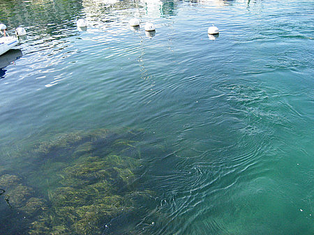 Genfer See Foto 