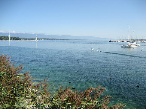Foto Genfer See - Genf