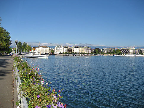 Genfer See Foto 