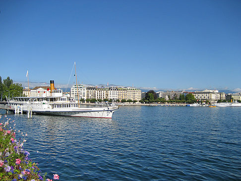 Foto Genfer See