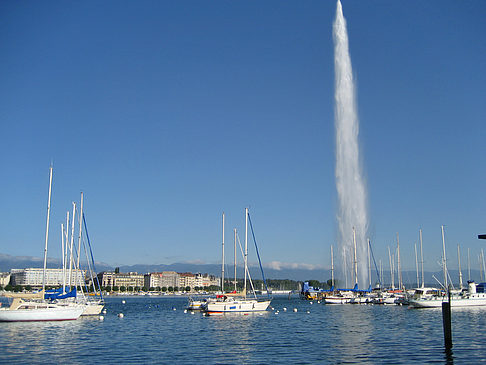 Foto Jet d'Eau - Genf
