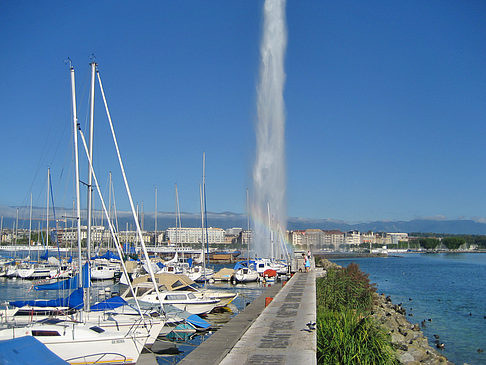 Foto Jet d'Eau - Genf