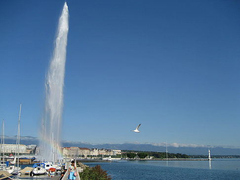Jet d'Eau Fotos