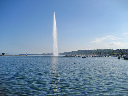 Jet d'Eau Foto 