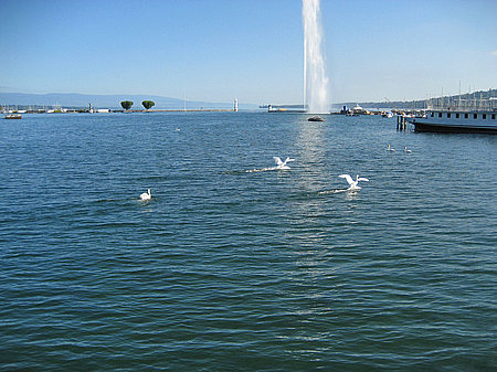 Jet d'Eau Fotos