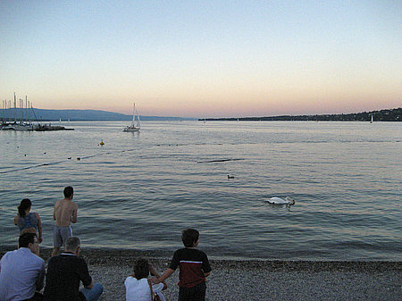 Ufer Fotos