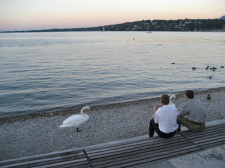 Fotos Ufer