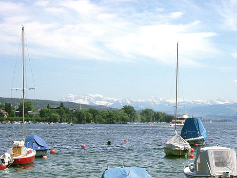 Foto Boote auf dem Zürichsee - Zürich